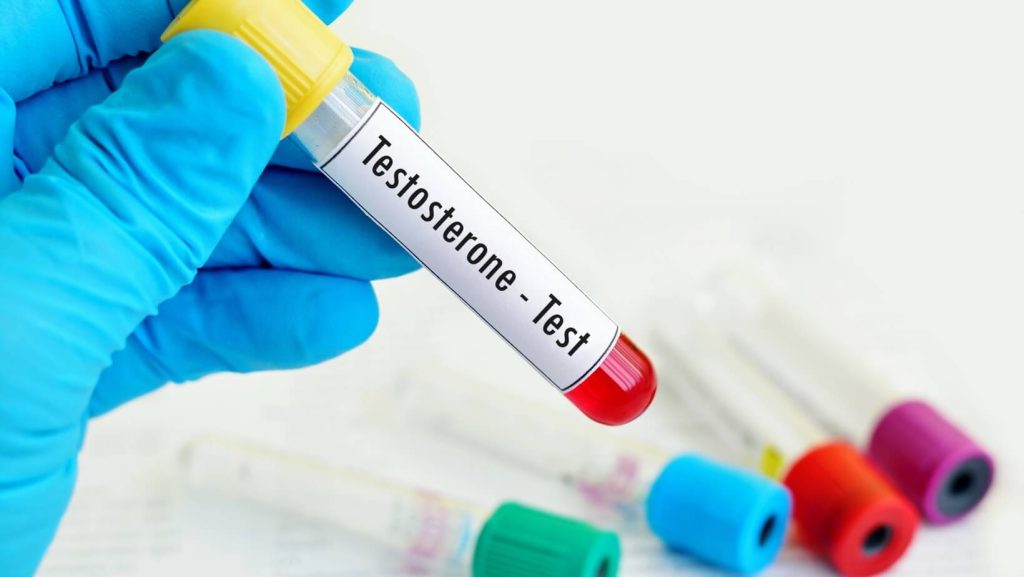 does ginger really increase testosterone levels in men find all the potential benefits and how it supports muscle growth and strength bones libido and many more